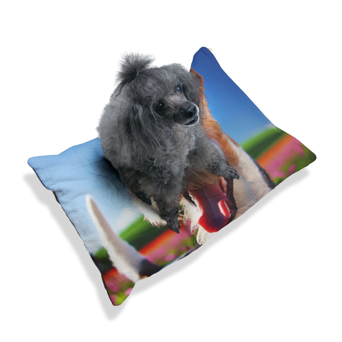 Wire Fox Terrier Pet Bed