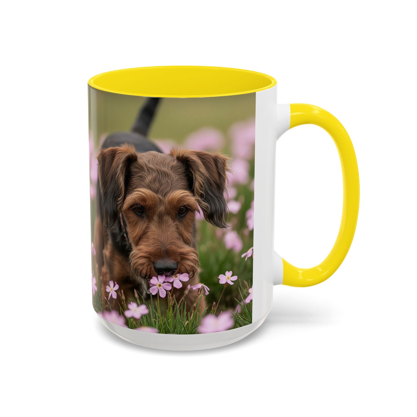 Cesky Terrier Accent Coffee Mug - Perfect Gift for Dog Lovers