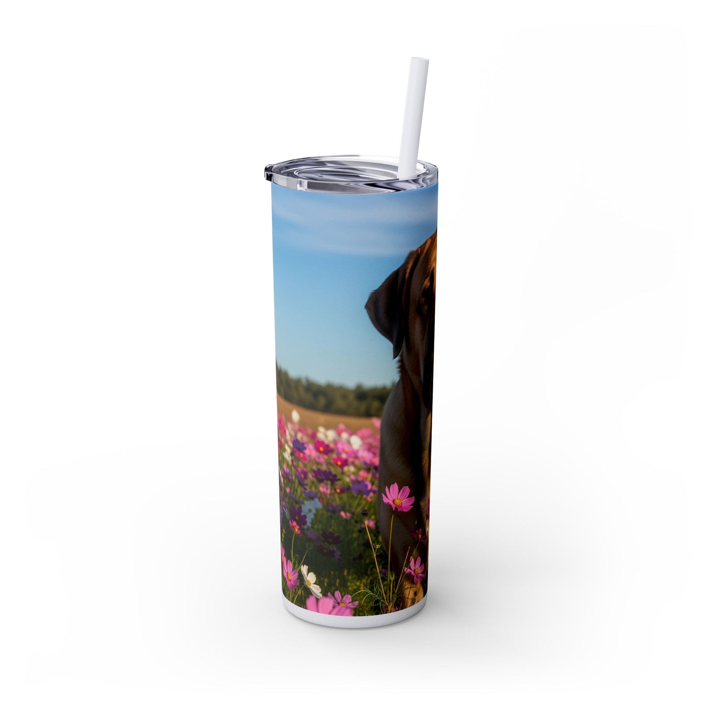 Spanish Mastiff Skinny Tumbler with Straw, 20oz