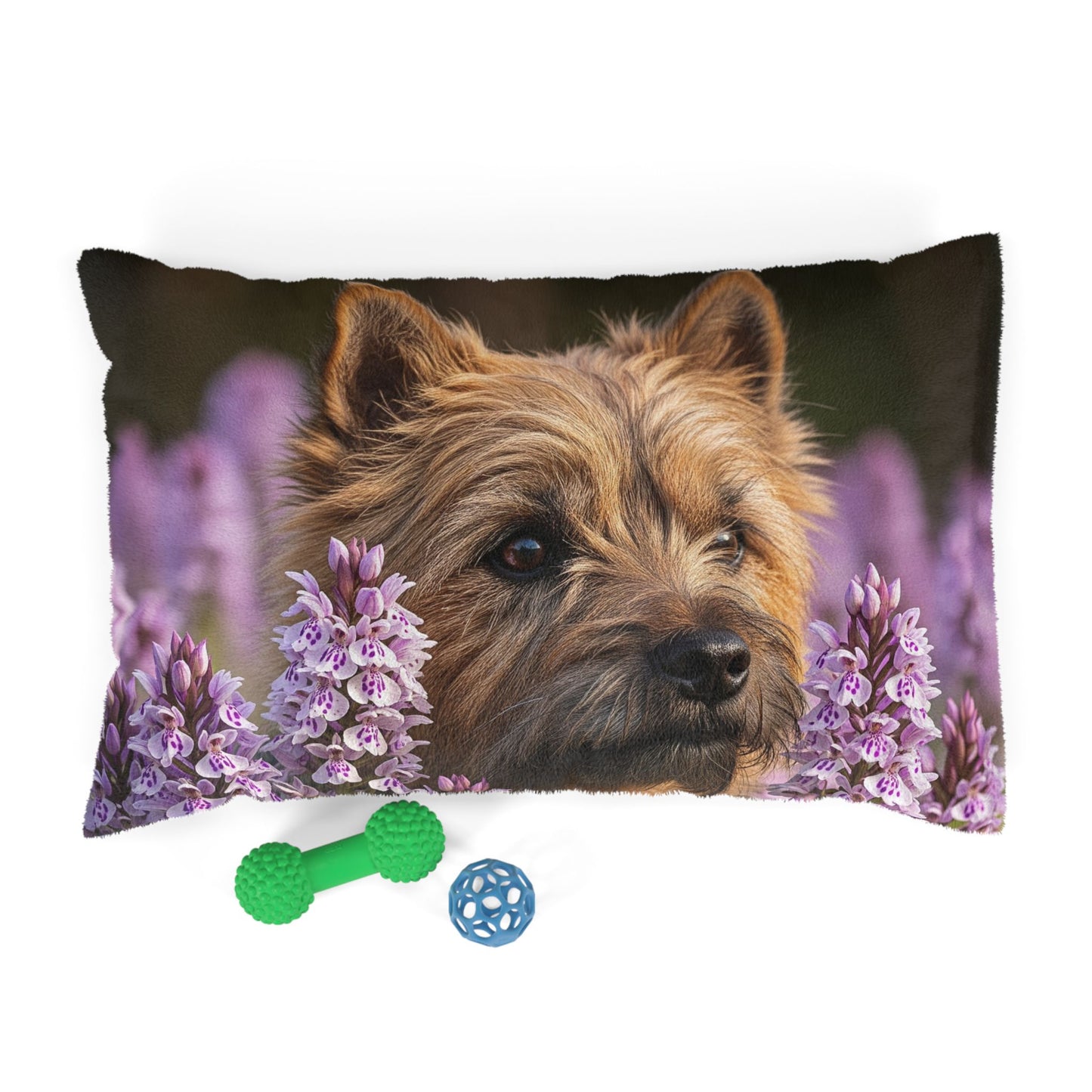 Cairn Terrier Pet Bed