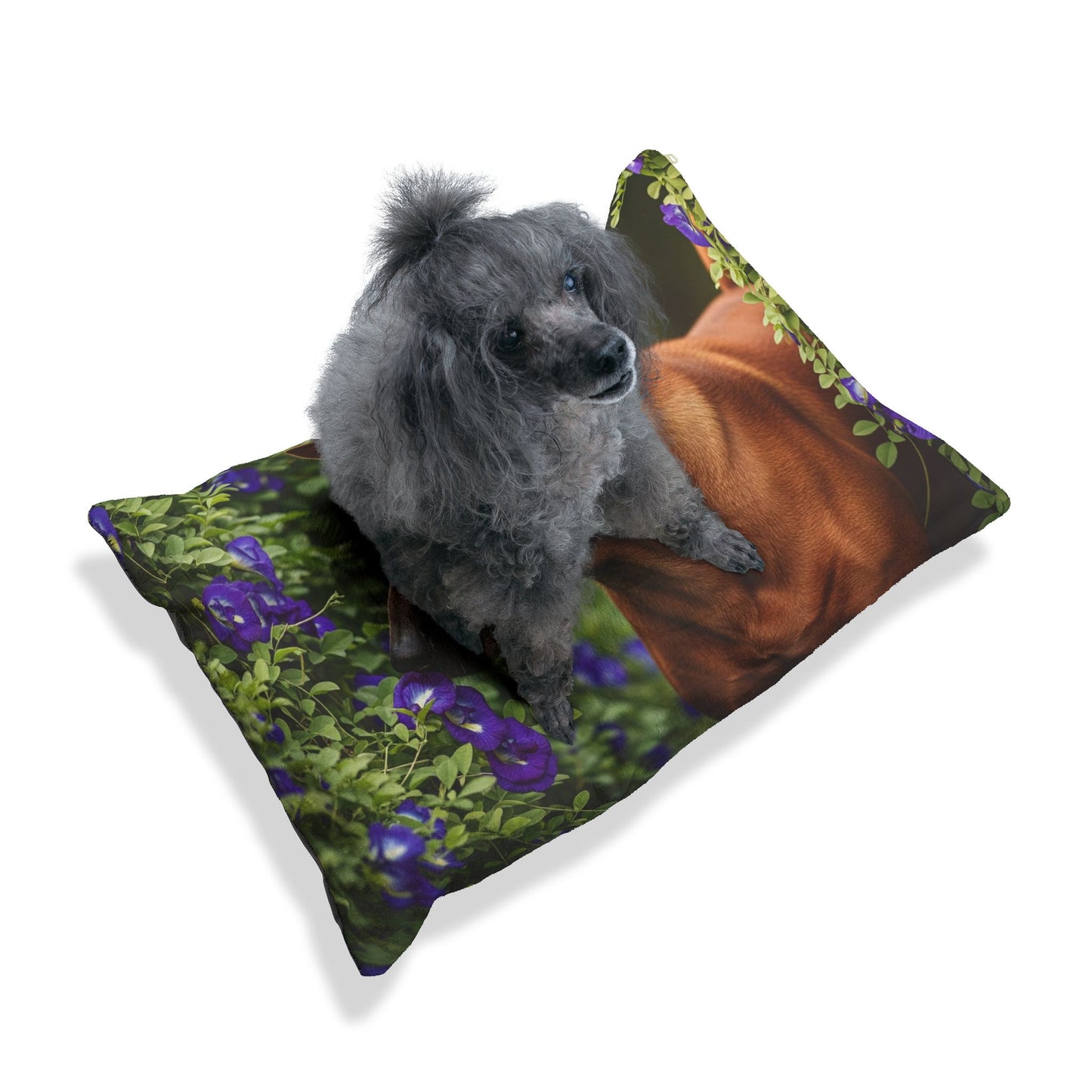 Thai Ridgeback Pet Bed