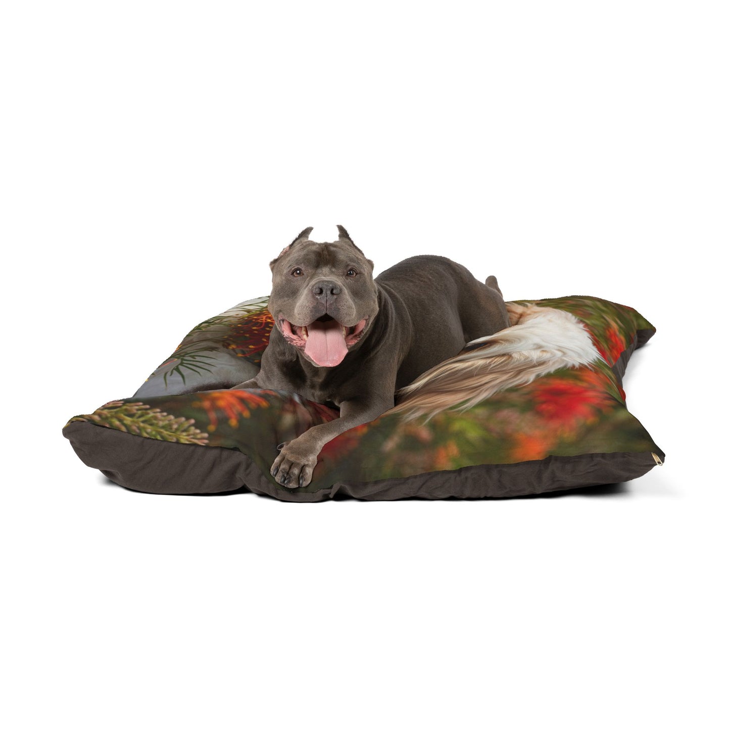 Labradoodle Pet Bed