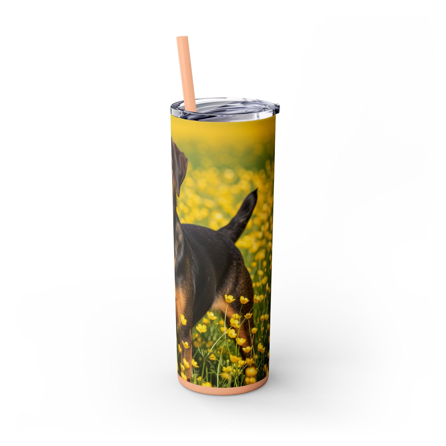 Drever Tumbler with Straw, 20oz