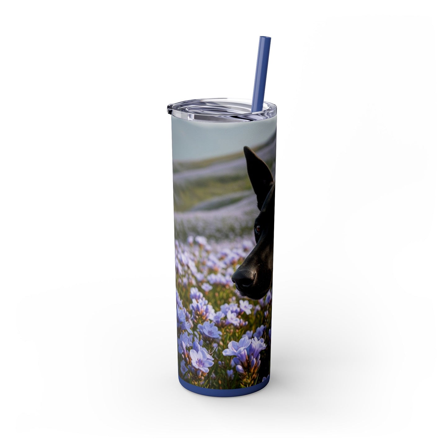 Kanni Tumbler with Straw, 20oz