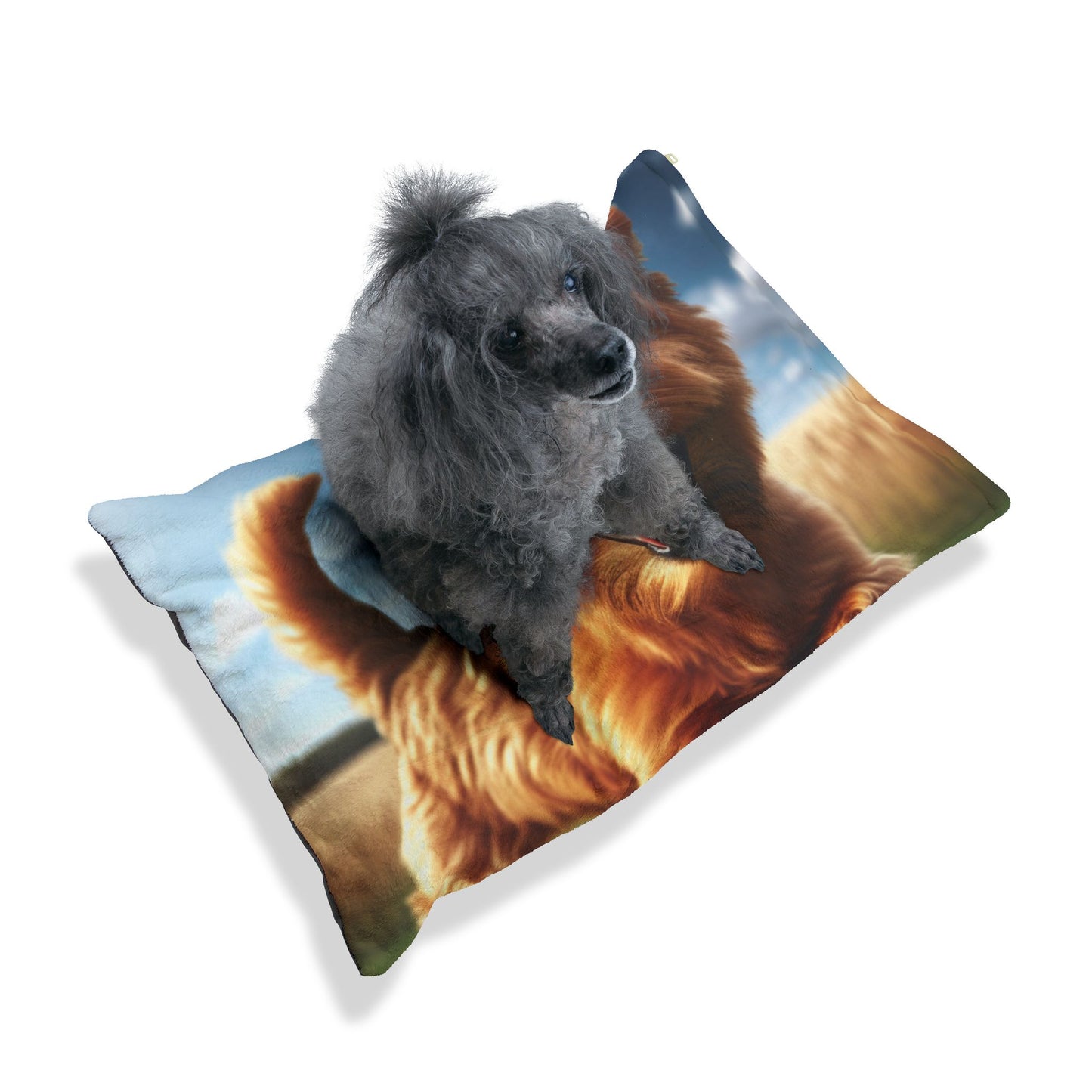 Norfolk Terrier Pet Bed