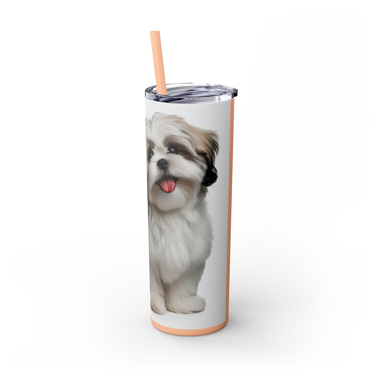 Shihchon Tumbler with Straw, 20oz