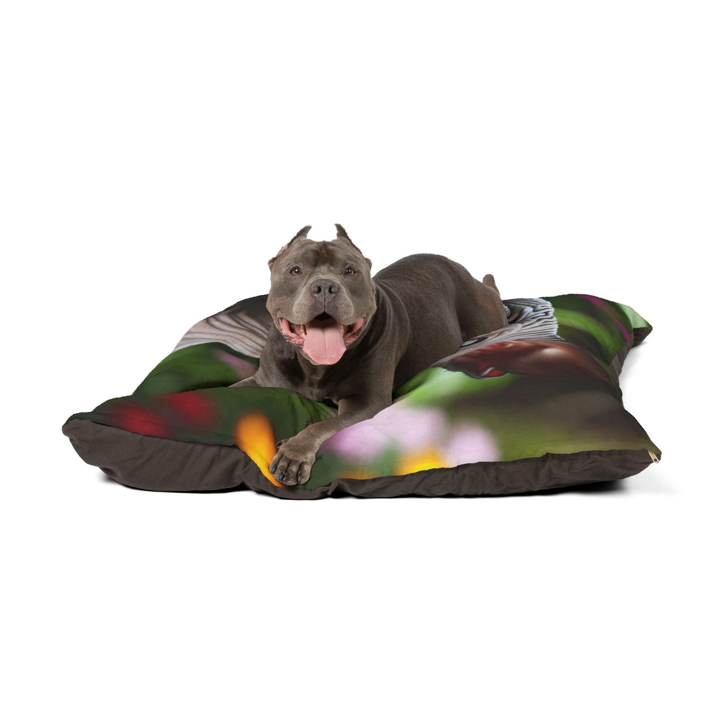 Peruvian Hairless Dog Pet Bed