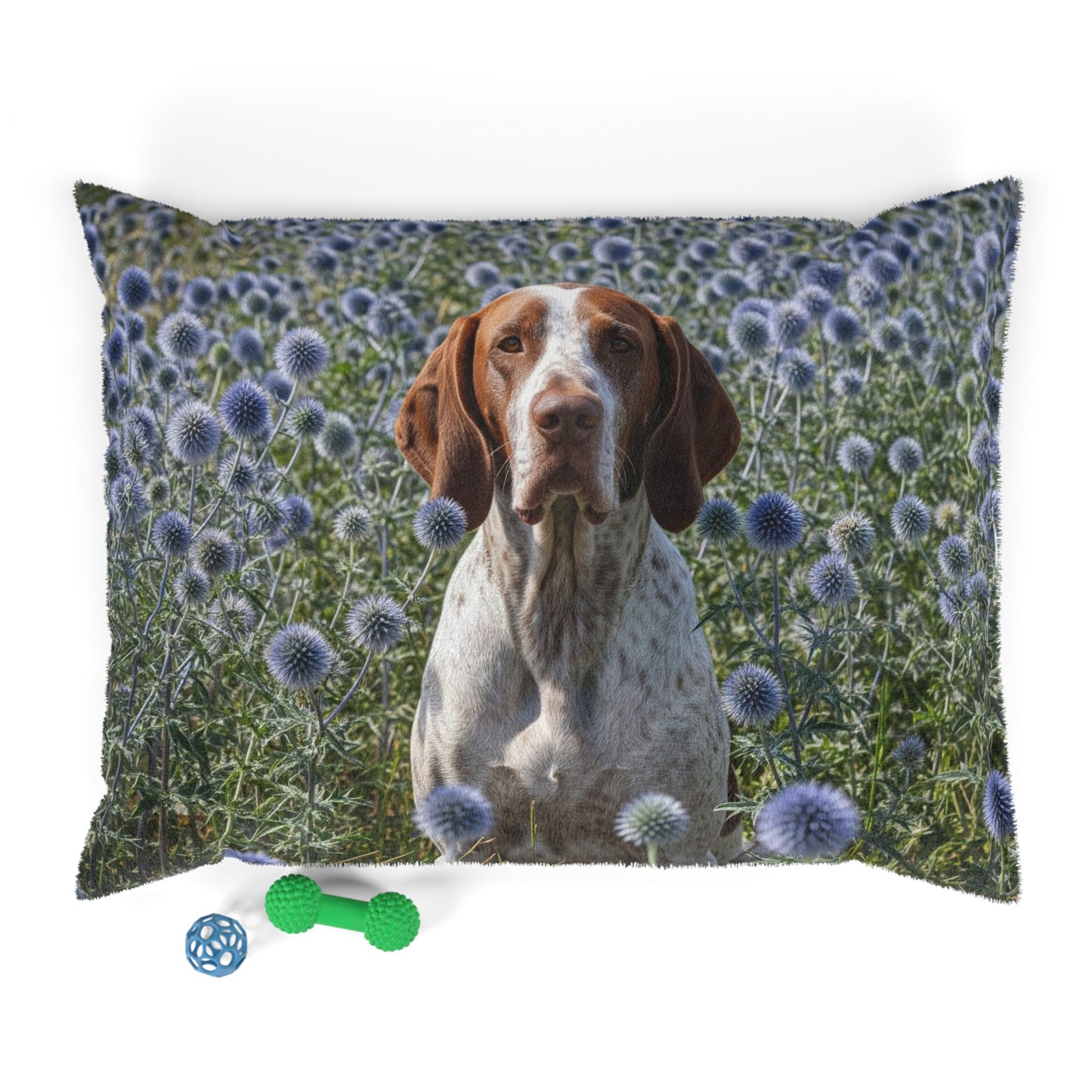 Braque Francais Pyrenean Pet Bed