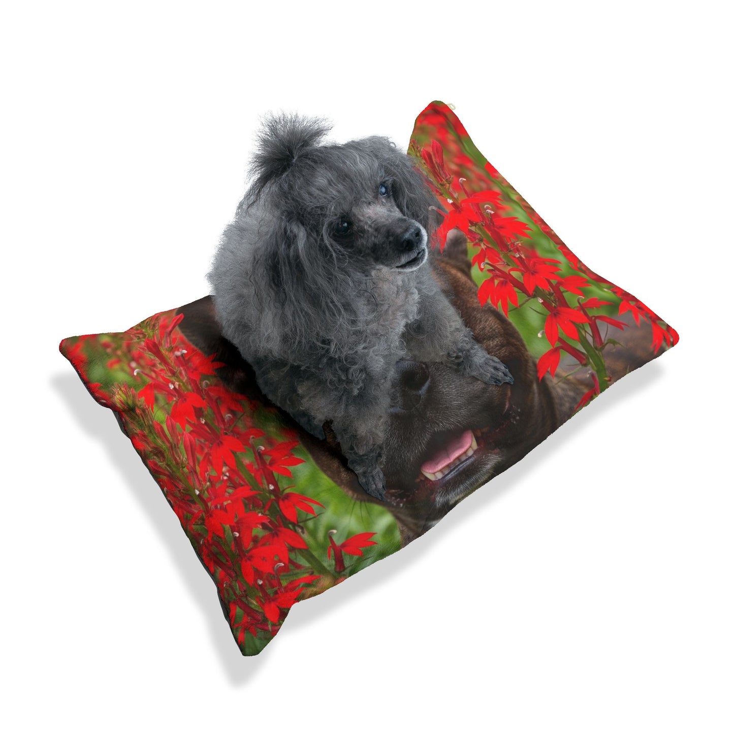Frenchton Pet Bed