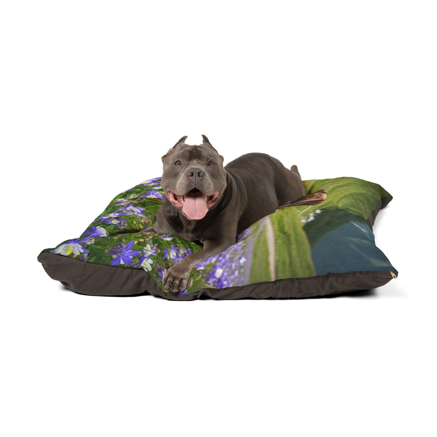Boxer Pet Bed