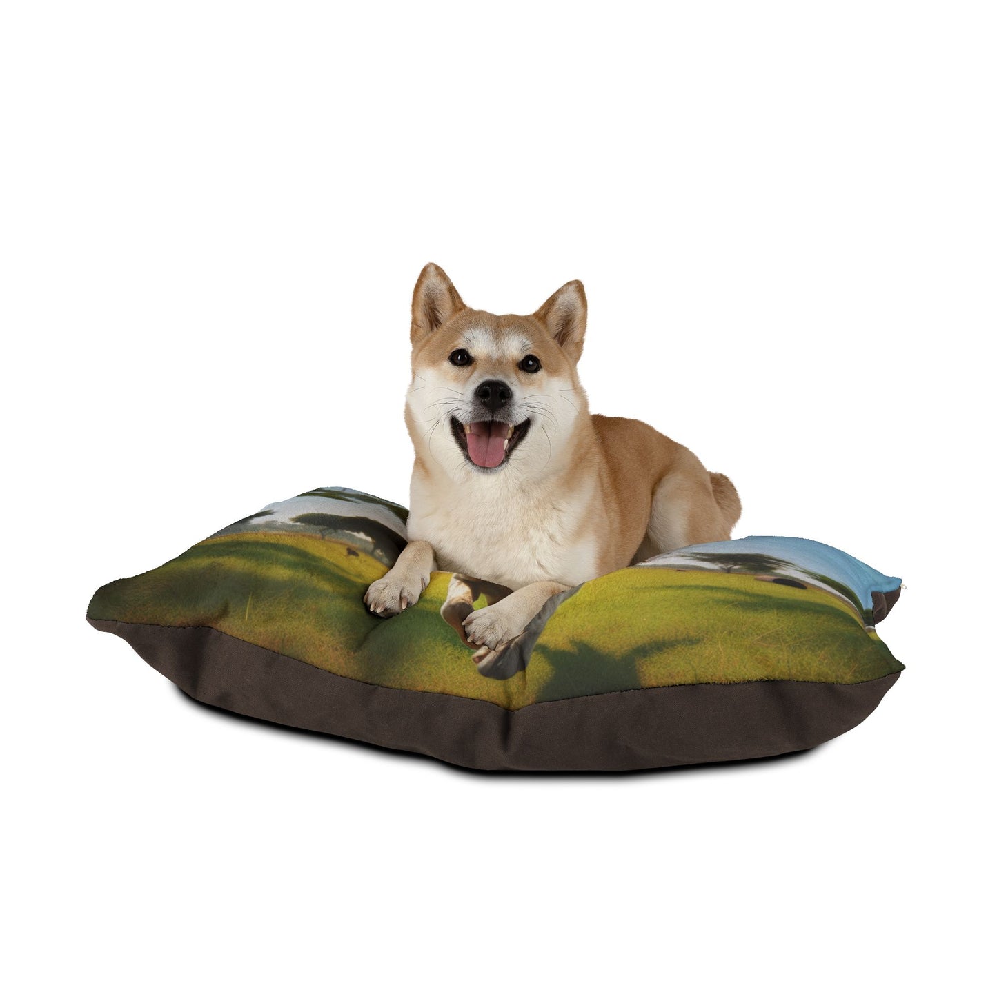 Indian Pariah Dog Pet Bed