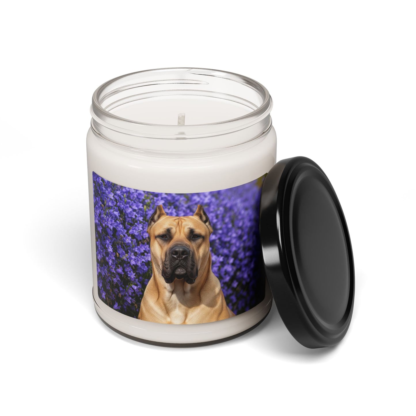Presa Canario- Scented Soy Candle, 9oz