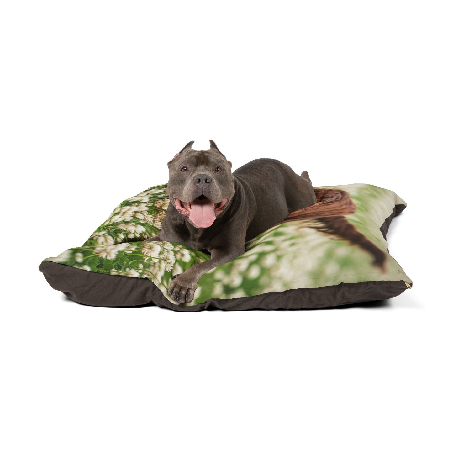 Irish Water Spaniel Pet Bed