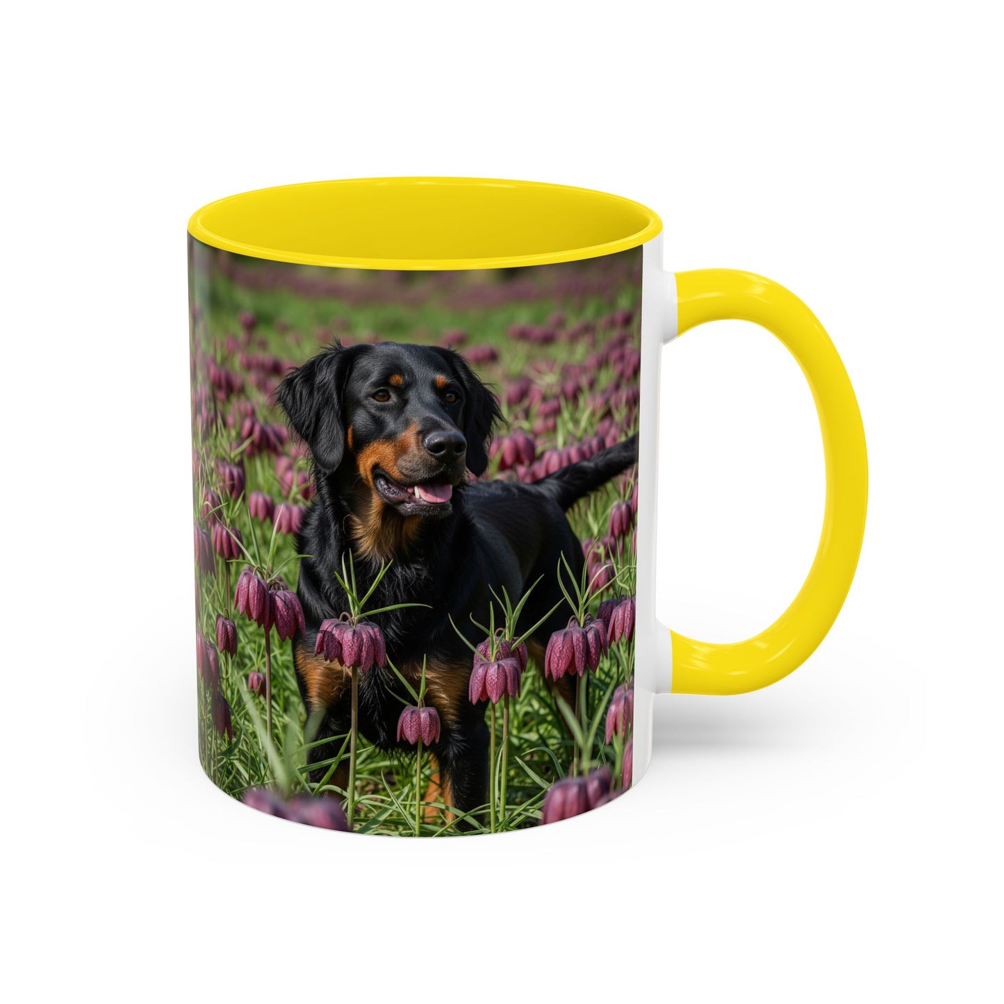 Wetterhoun Accent Coffee Mug - Perfect Gift for Dog Lovers