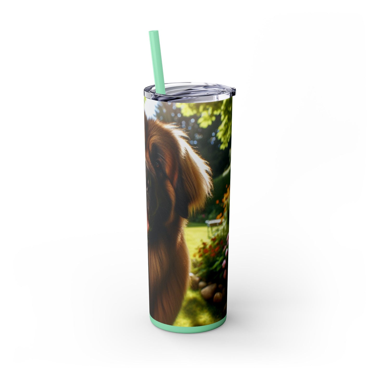 Leonberger Tumbler with Straw, 20oz