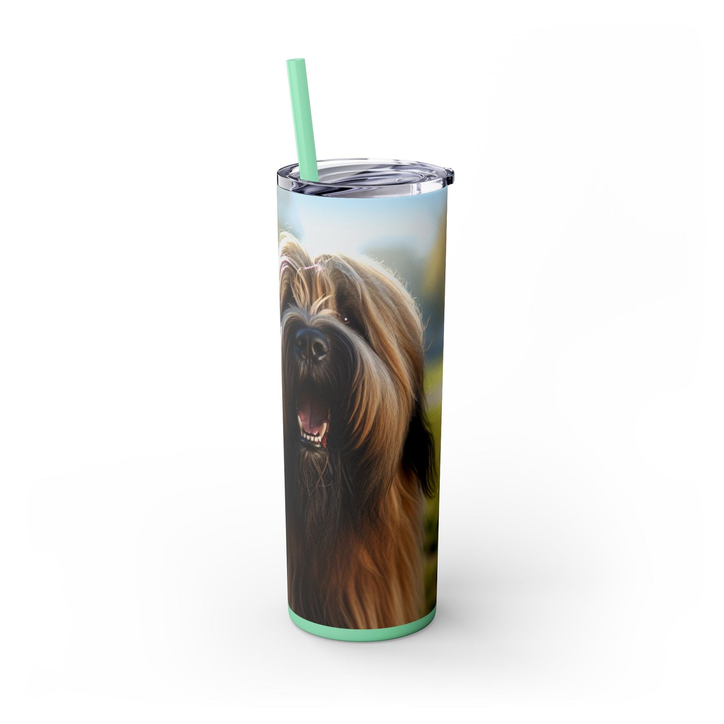 Briard Tumbler with Straw, 20oz