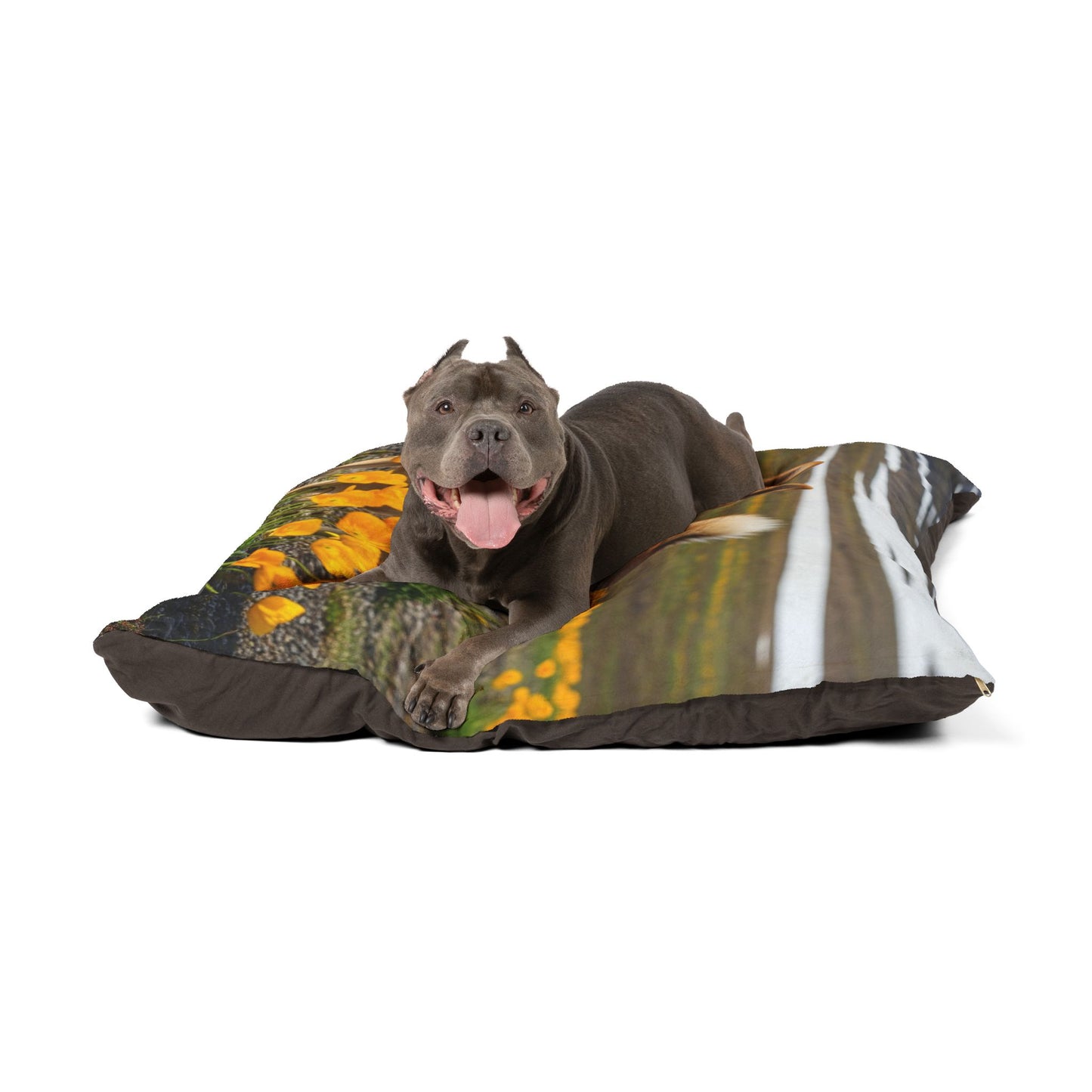 Norwegian Buhund Pet Bed