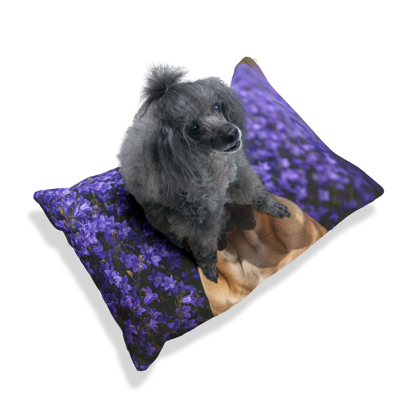 Presa Canario Pet Bed