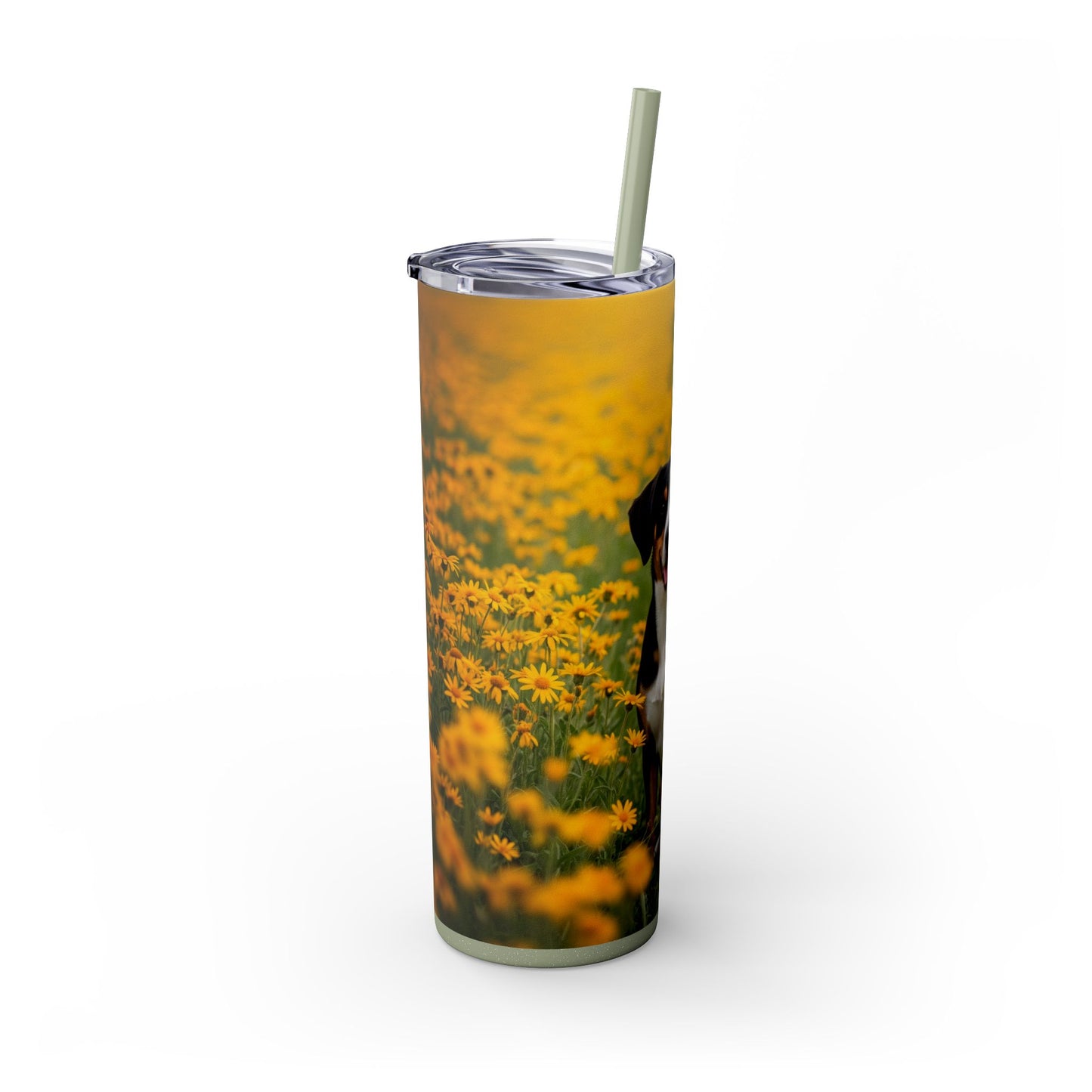 Entlebucher Mountain Dog Skinny Tumbler with Straw, 20oz