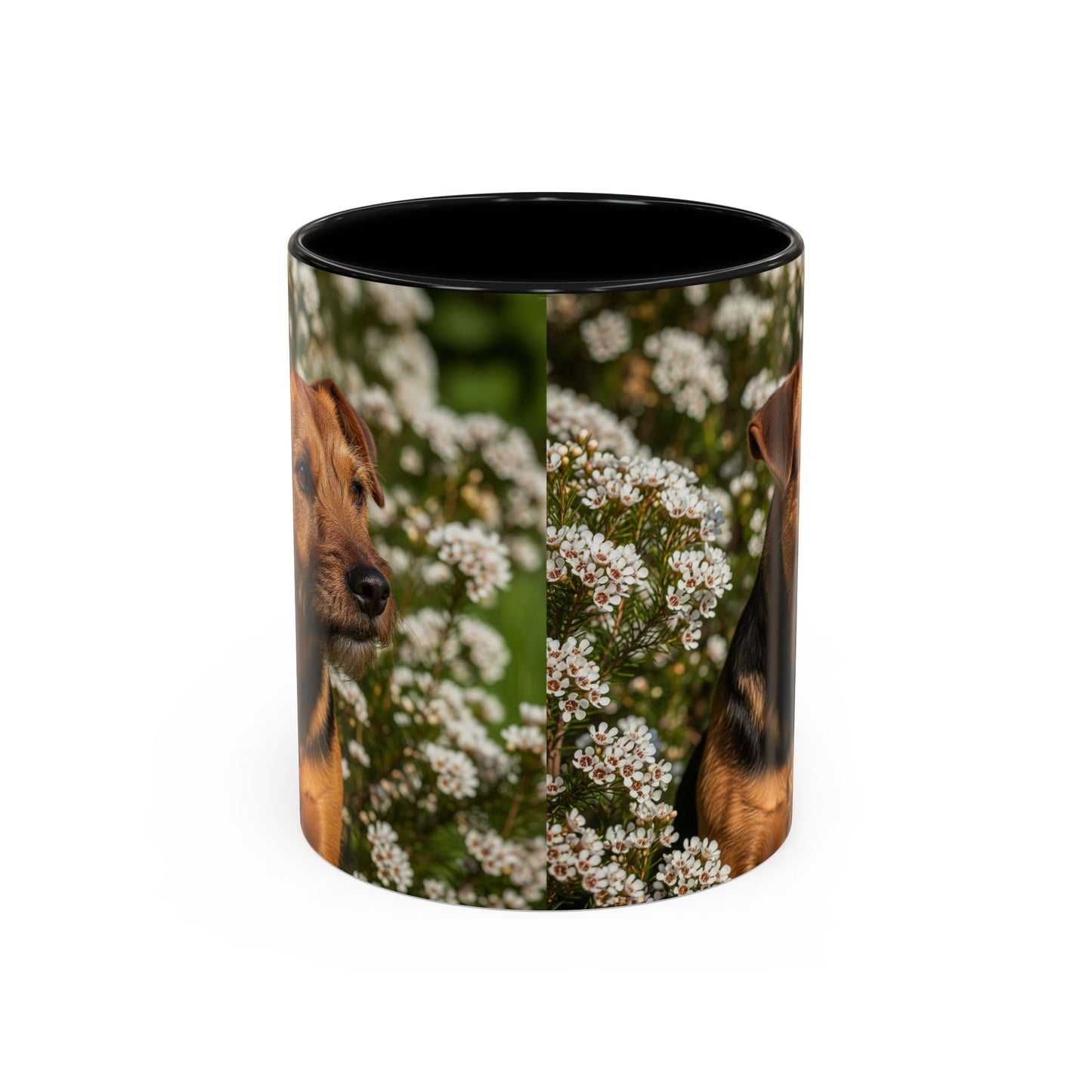 Tenterfield Terrier Accent Coffee Mug - Perfect Gift for Dog Lovers