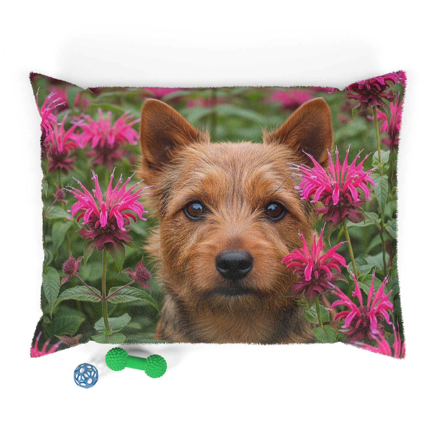 Norwich Terrier Pet Bed