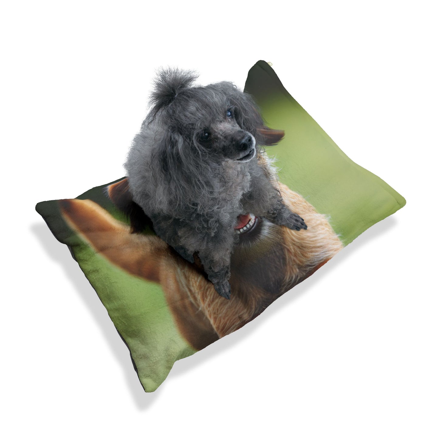 Border Terrier Pet Bed