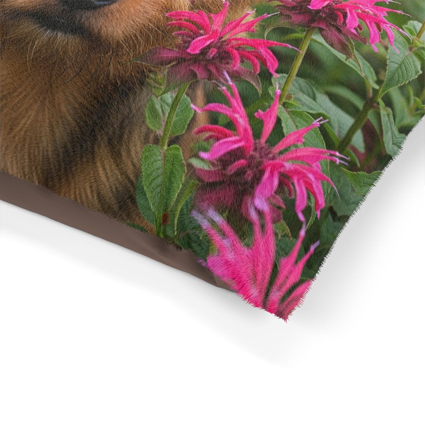 Norwich Terrier Pet Bed