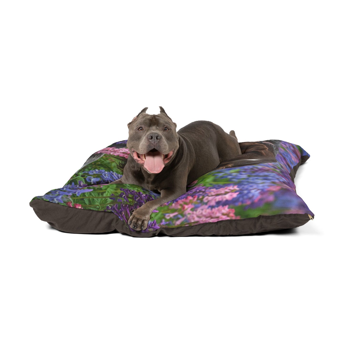 Wirehaired Slovakian Pointer Pet Bed