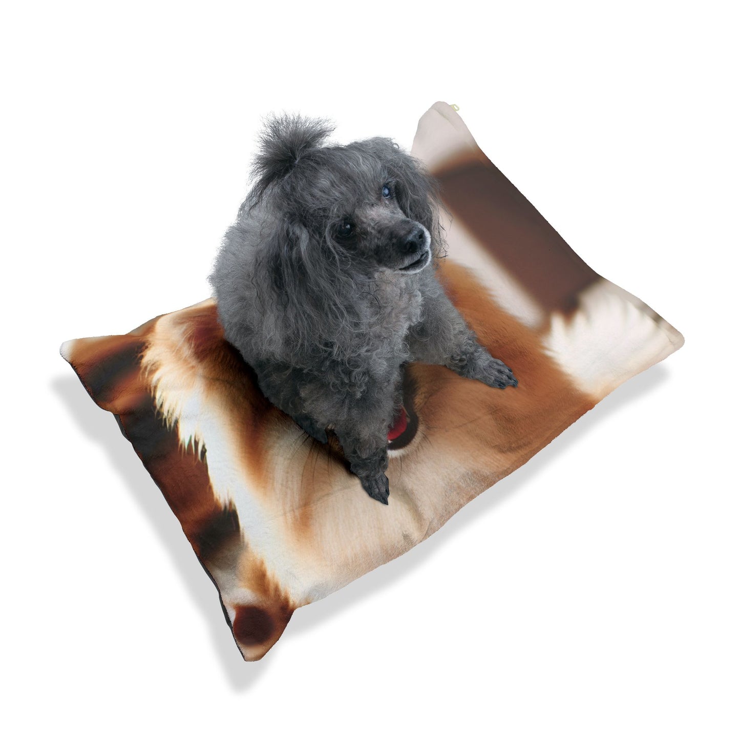 German Spitz Pet Bed