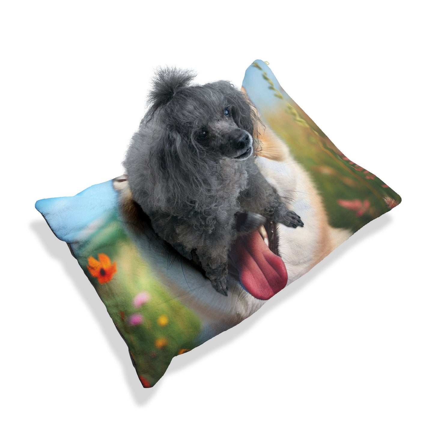 Canaan Dog Pet Bed