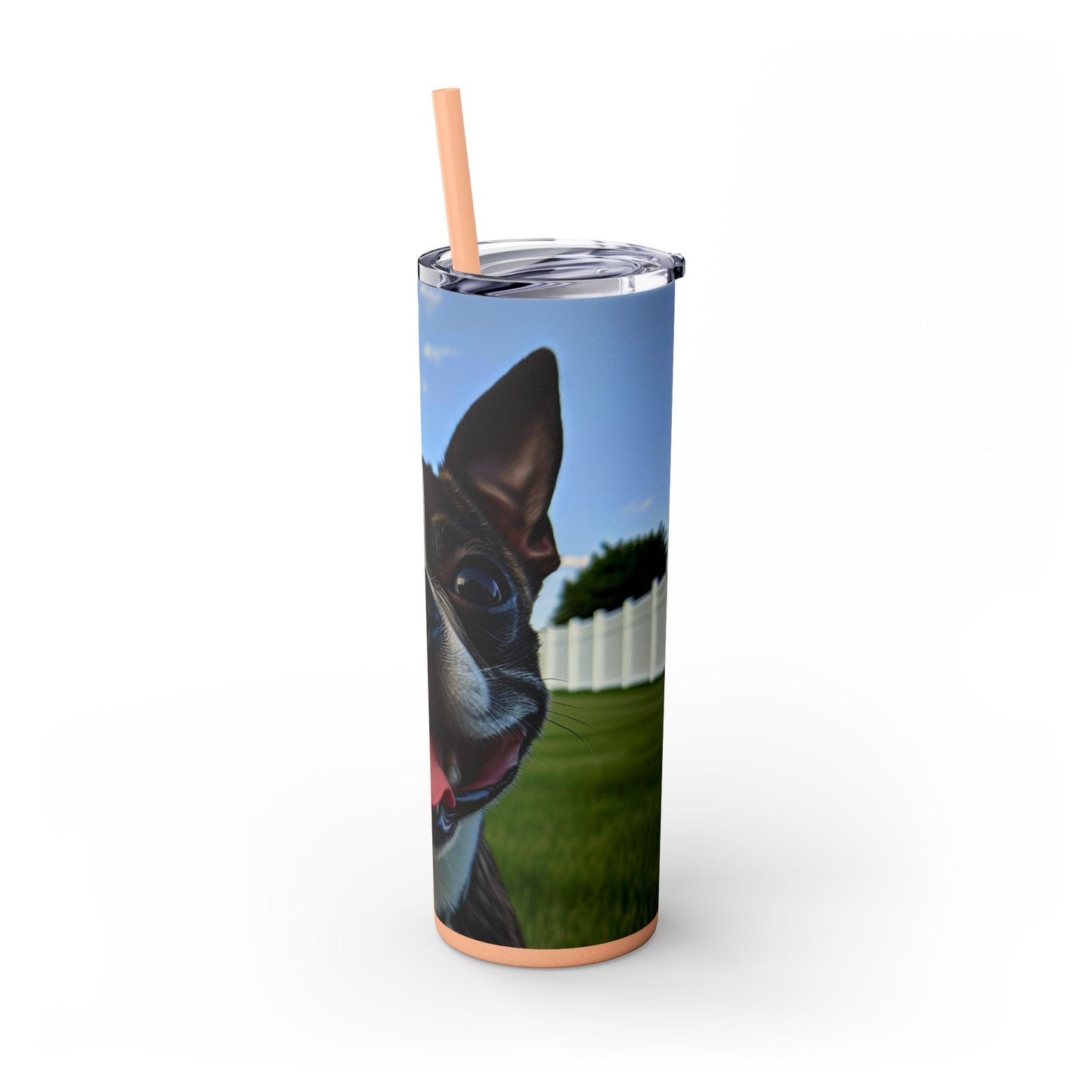 Boston Terrier Tumbler with Straw, 20oz