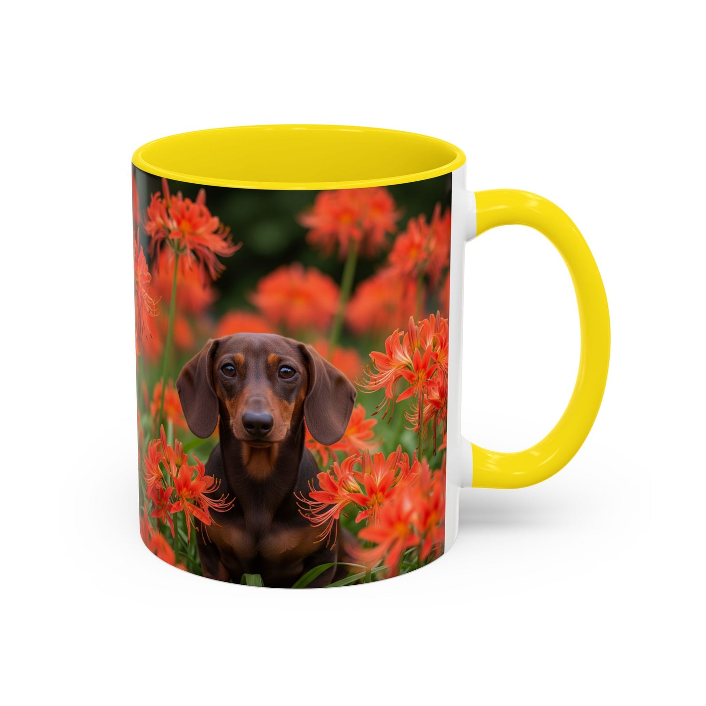 Dachshund Accent Coffee Mug - Perfect Gift for Dog Lovers