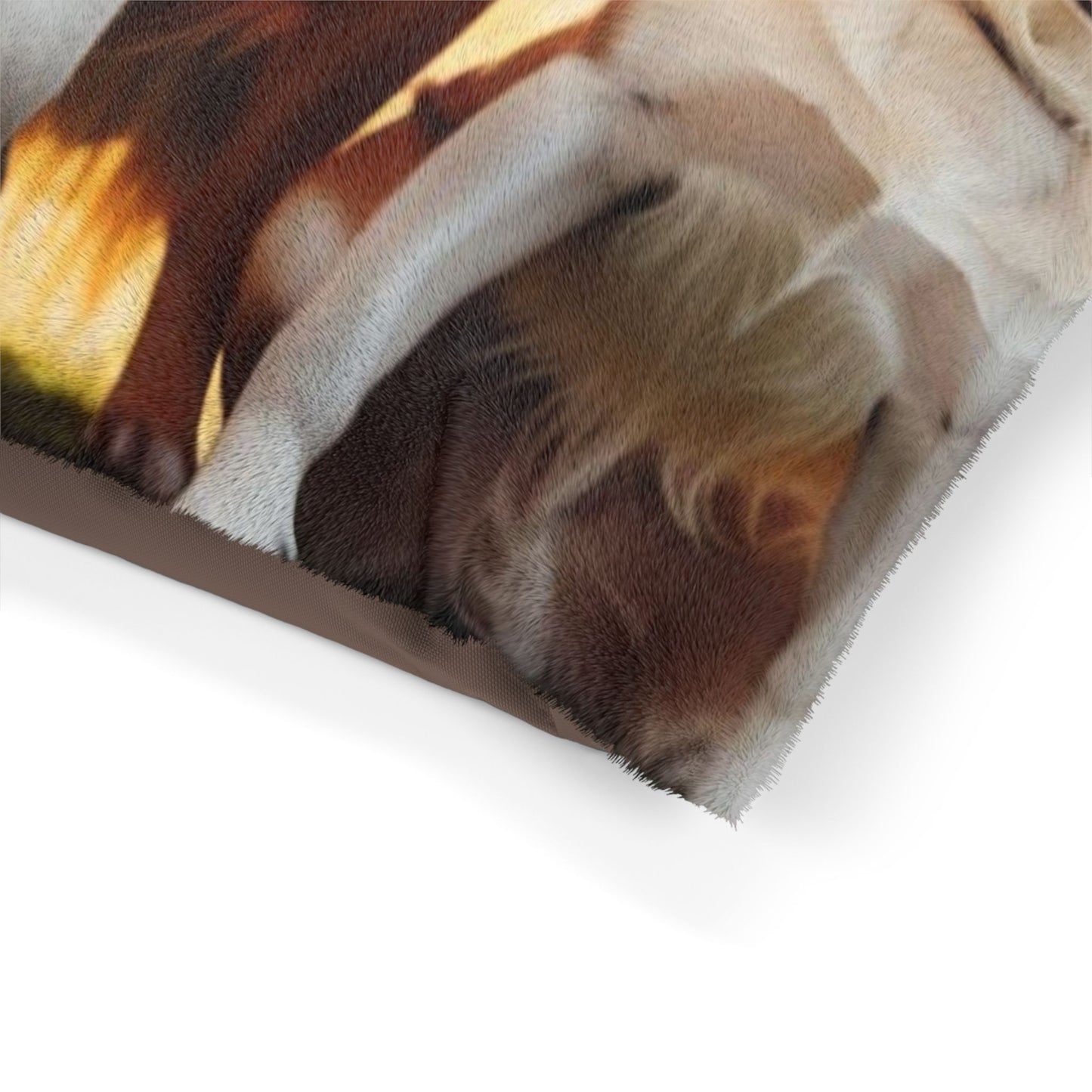 Class of Dogs Pet Bed