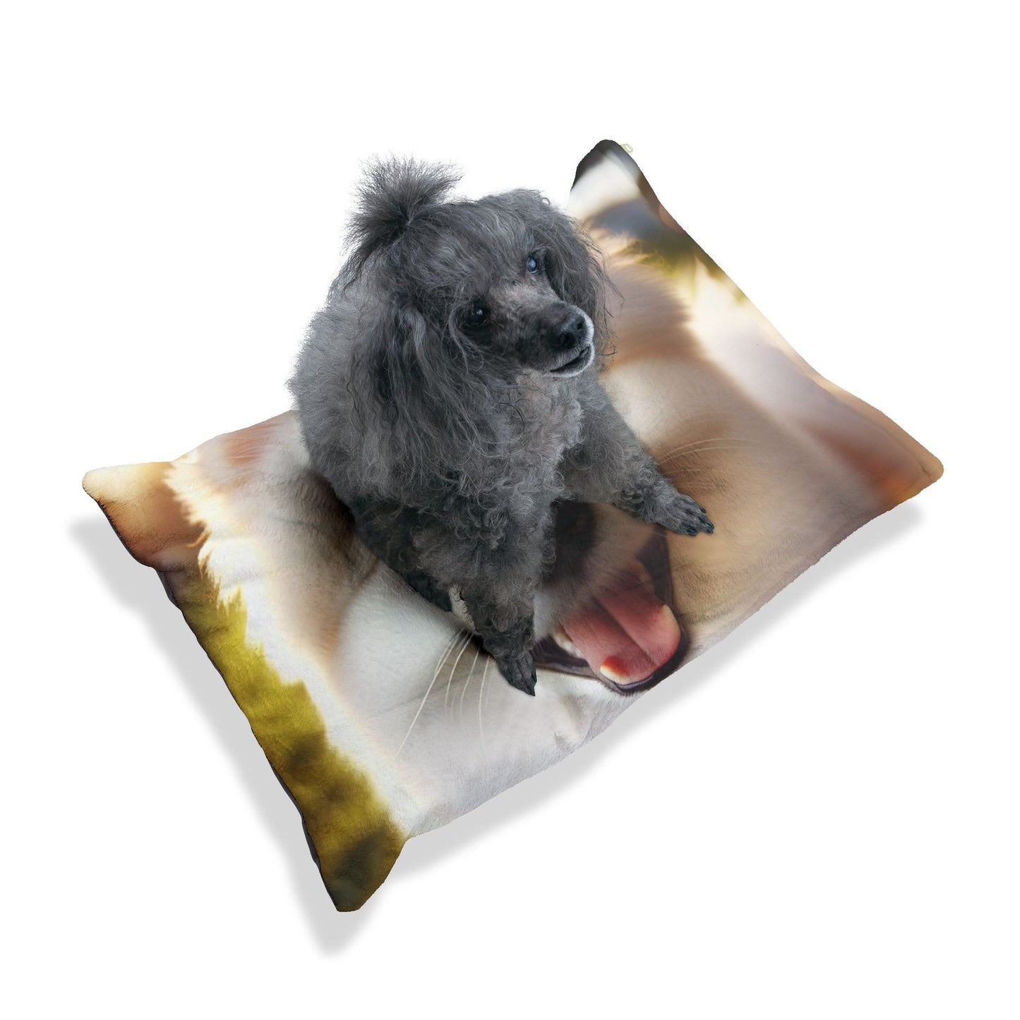 Volpino Italiano Pet Bed
