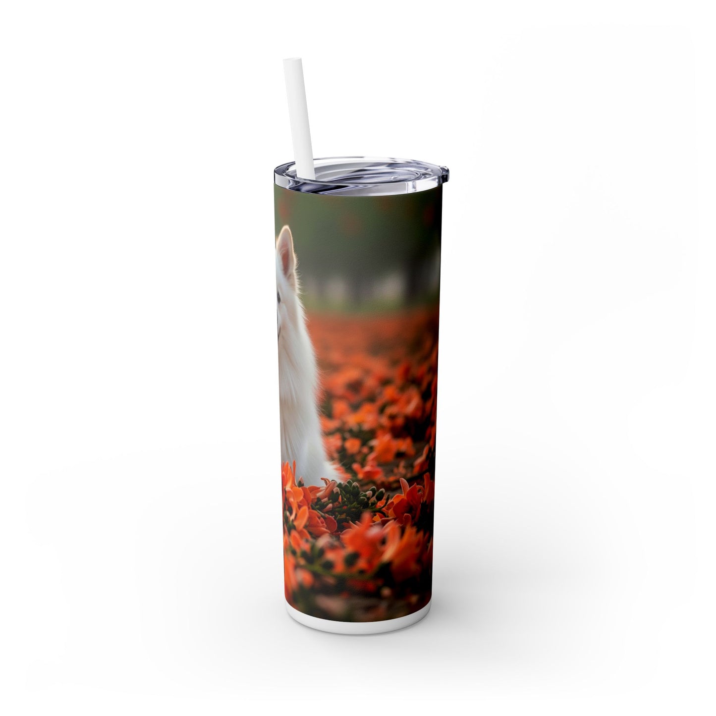 Indian Spitz Tumbler with Straw, 20oz