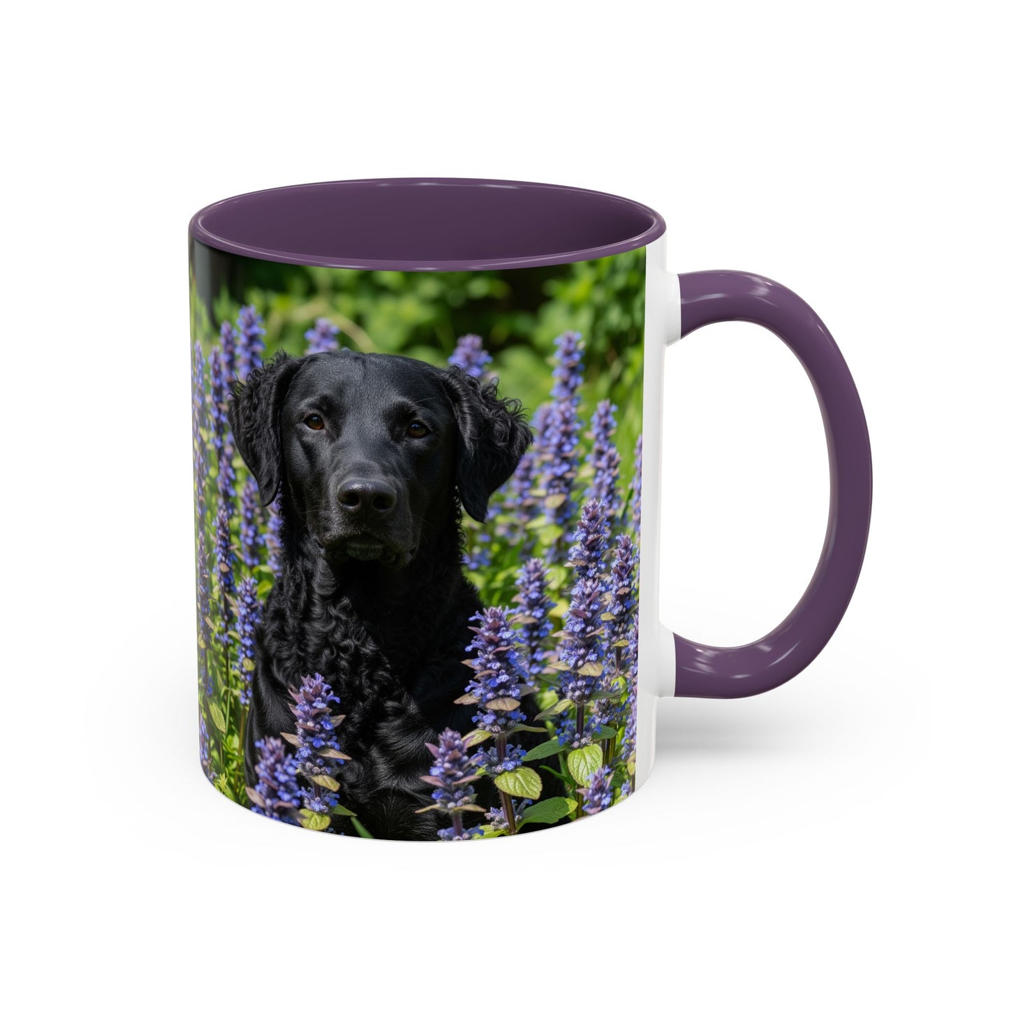 Curly Coated Retriever Accent Coffee Mug - Perfect Gift for Dog Lovers