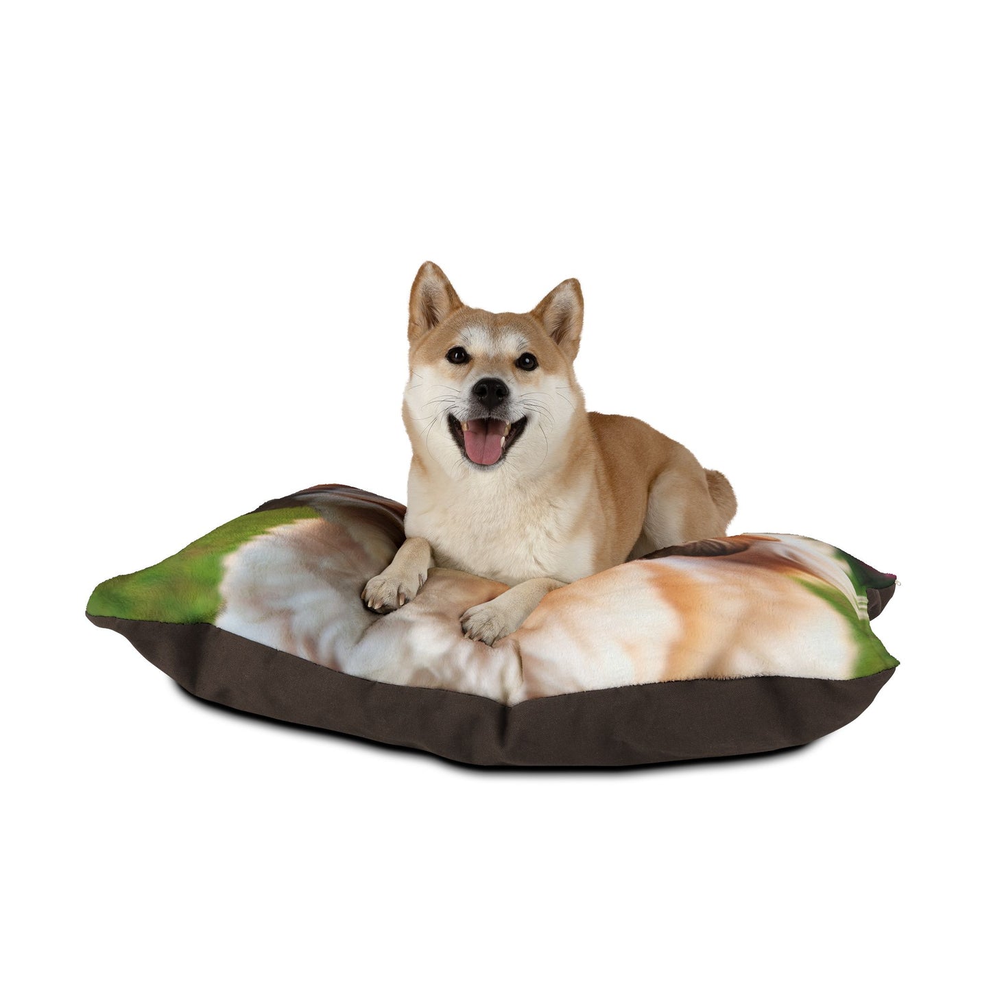 Shih-poo Pet Bed