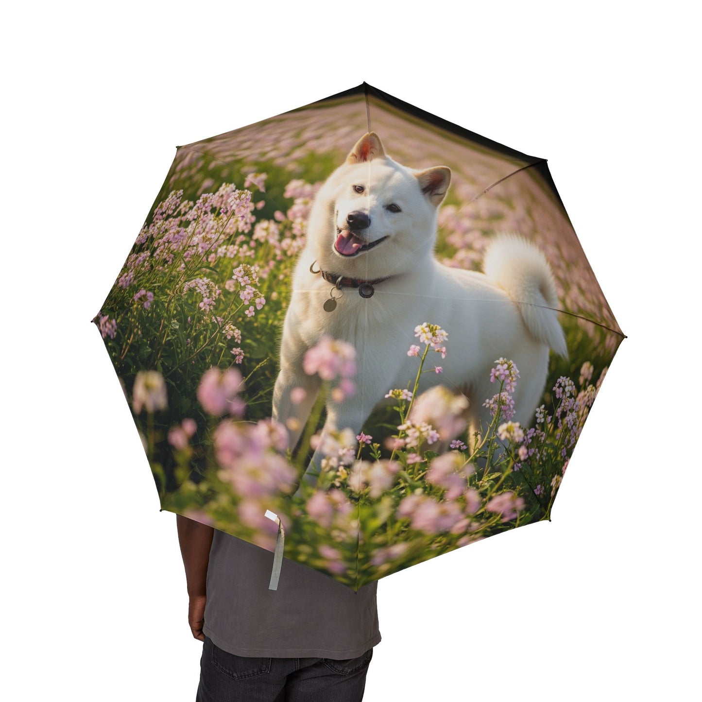 Kishu Ken Semi-Automatic Foldable Umbrella