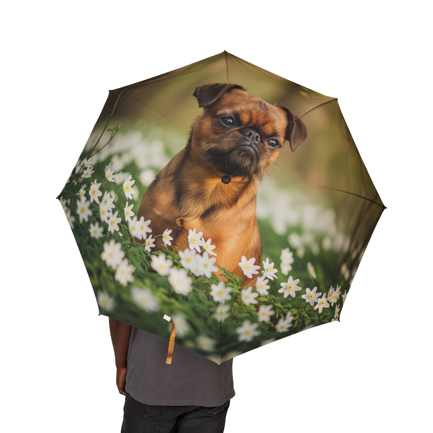 Parapluie pliant semi-automatique Brussels Griffon