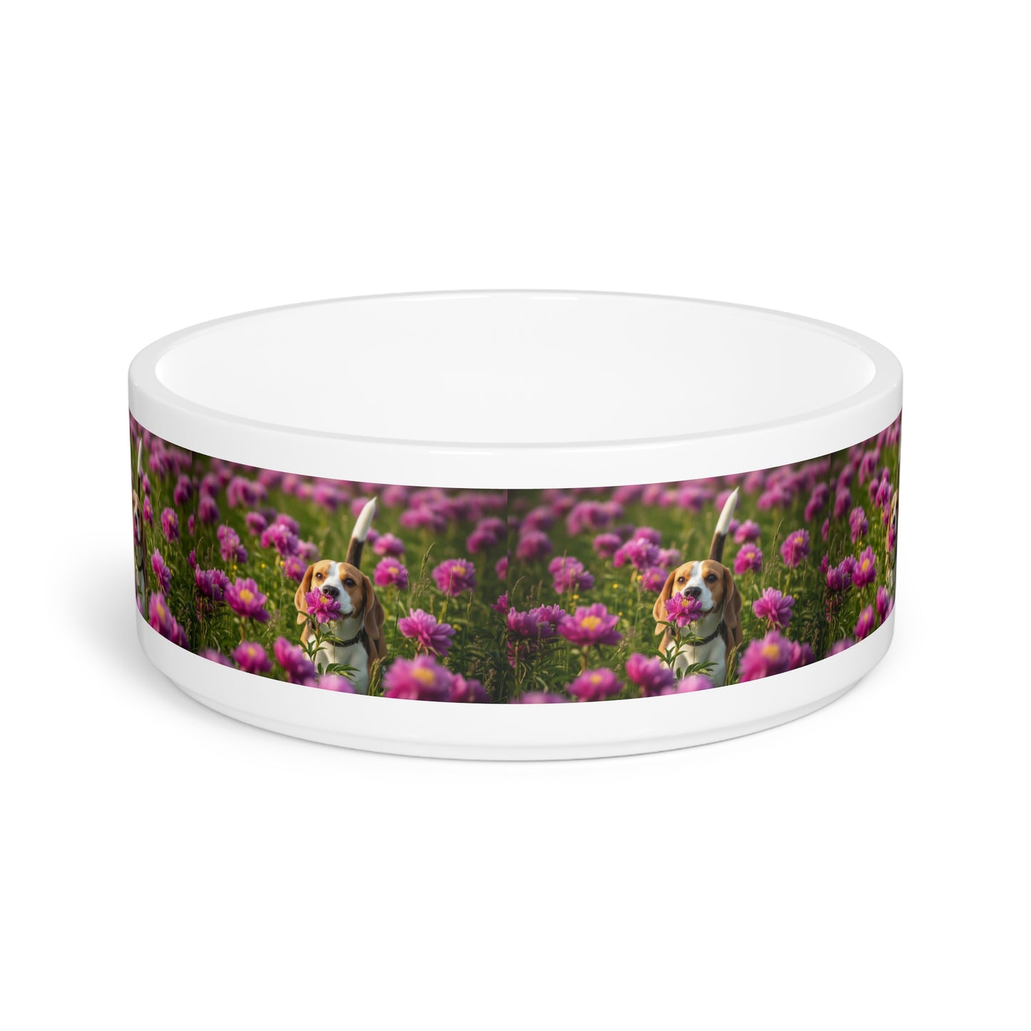 Beagle Pet Bowl