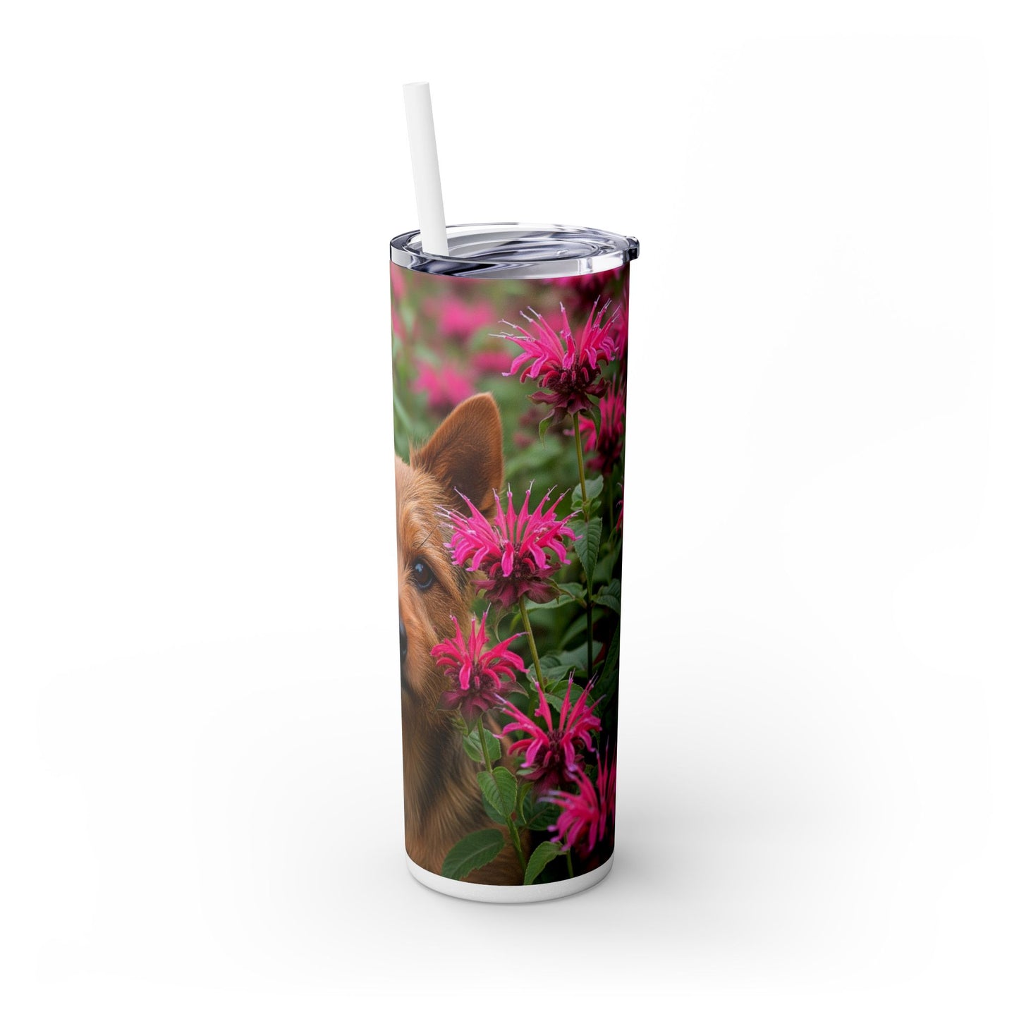 Norwich Terrier Skinny Tumbler with Straw, 20oz