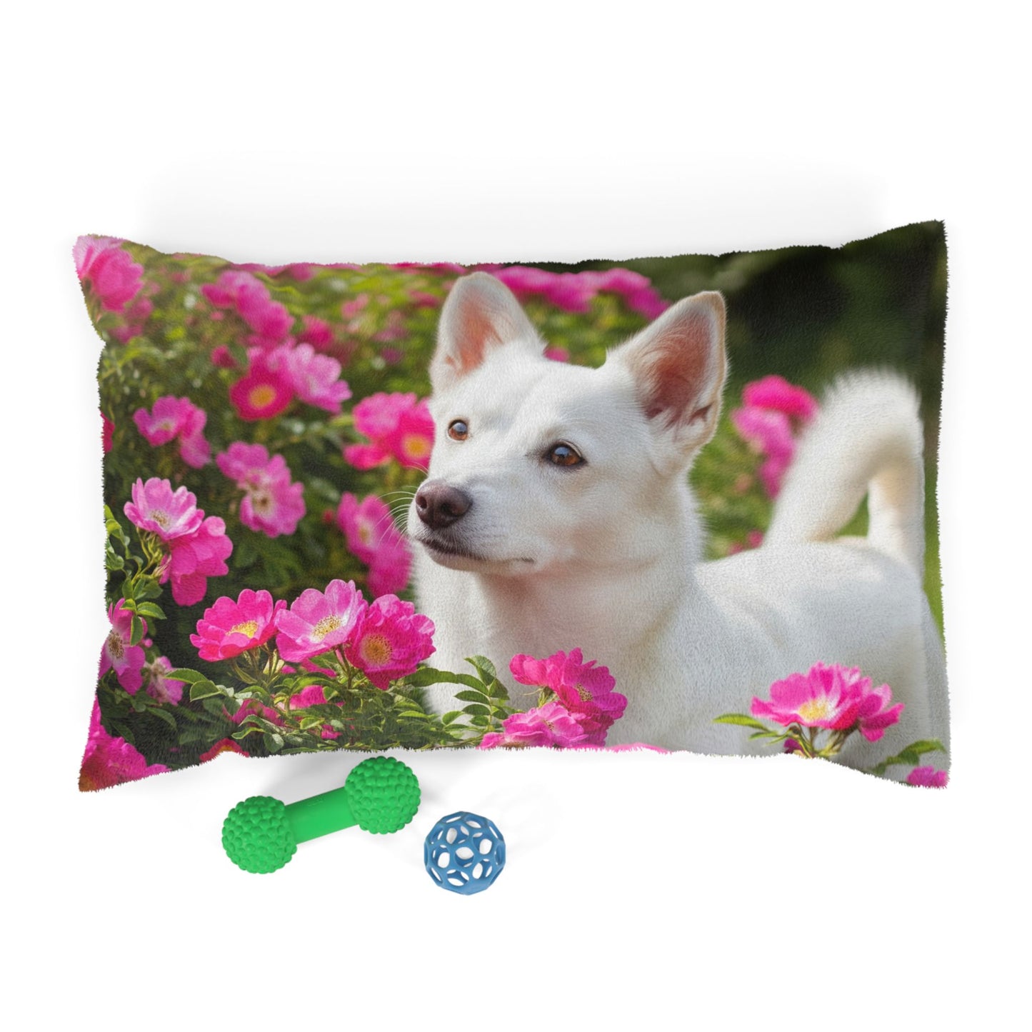 Norrbottenspets Pet Bed