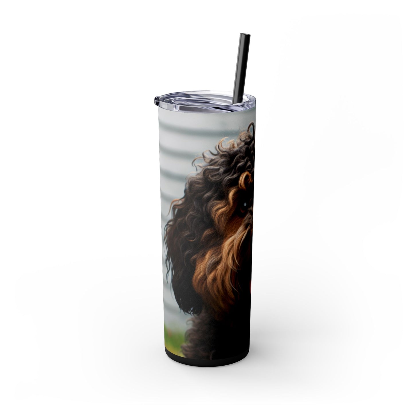 Barbet Tumbler with Straw, 20oz