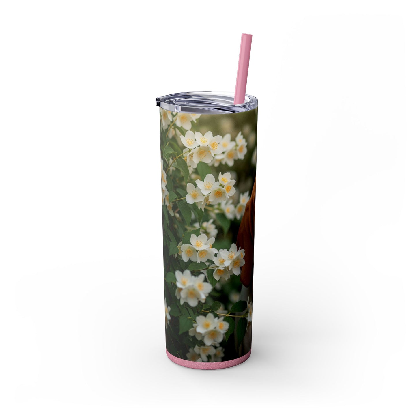 Bracco Italiano Tumbler with Straw, 20oz