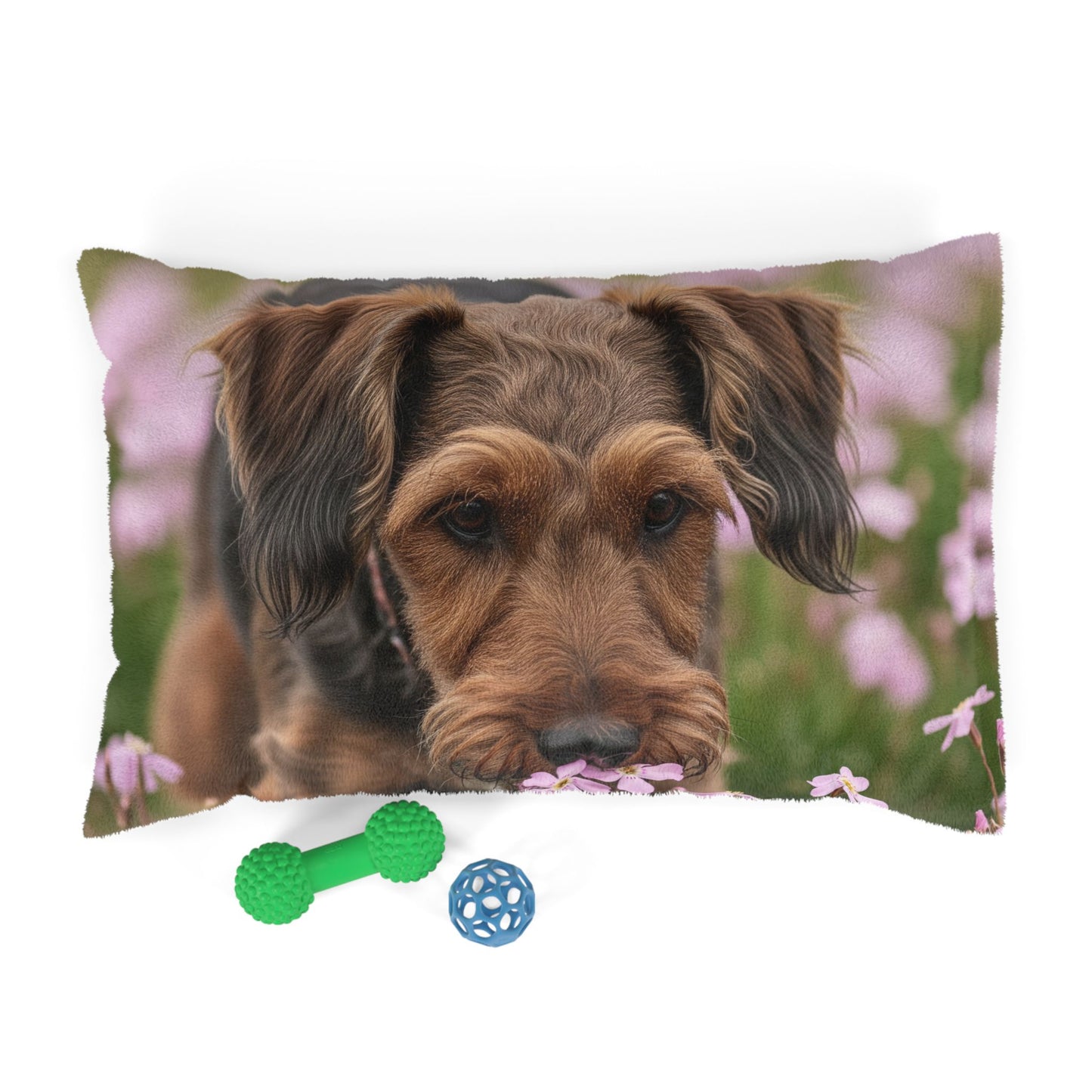 Cesky Terrier Pet Bed