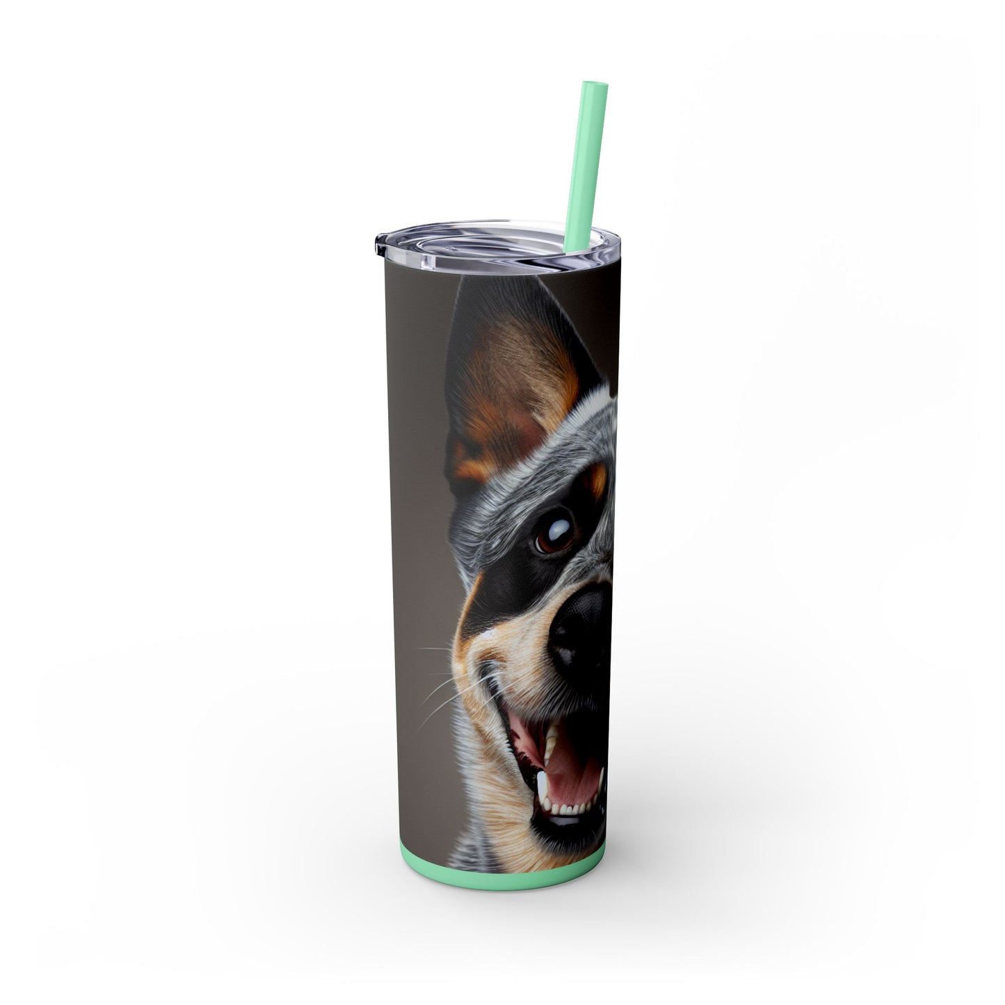 Australian Cattle Dog Tumbler with Straw, 20oz