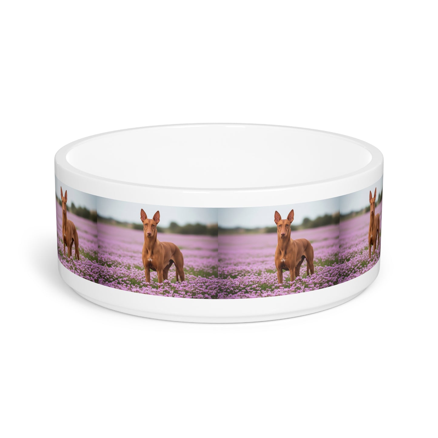 Pharaoh Hound Pet Bowl