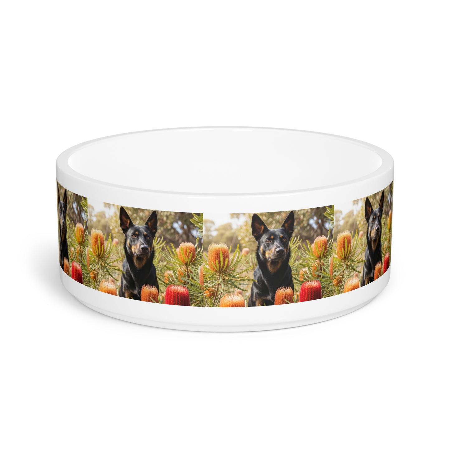 Working Kelpie Pet Bowl