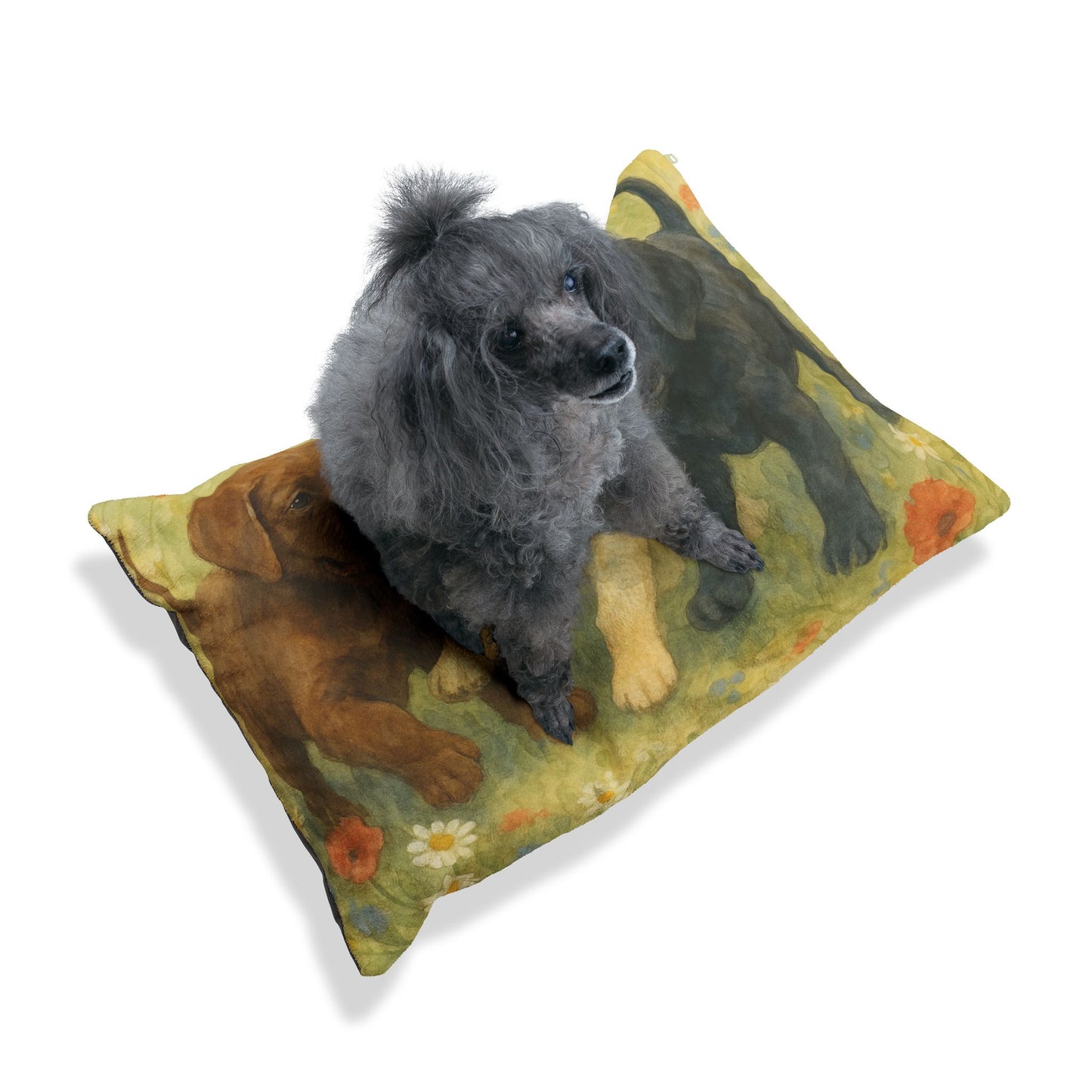 Labrador Retriever puppies Pet Bed