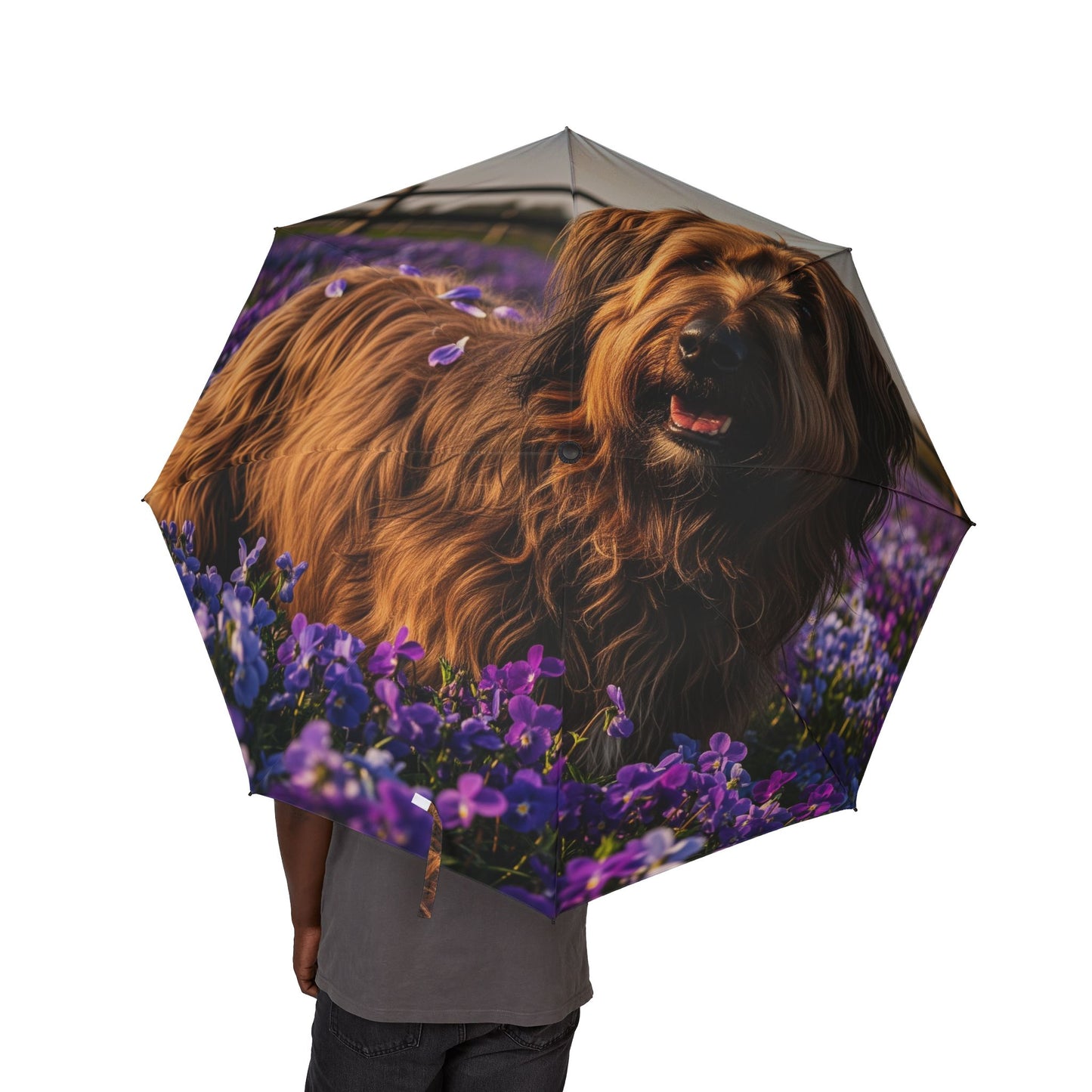 Briard Semi-Automatic Foldable Umbrella